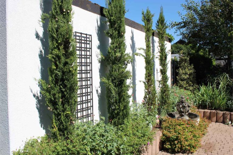 Gartenbau-Sommer-Gartengestaltung_mit_Sichtschutz_4