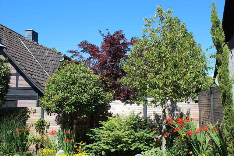 Gartenbau-Sommer-Gartengestaltung_mit_Sichtschutz_6