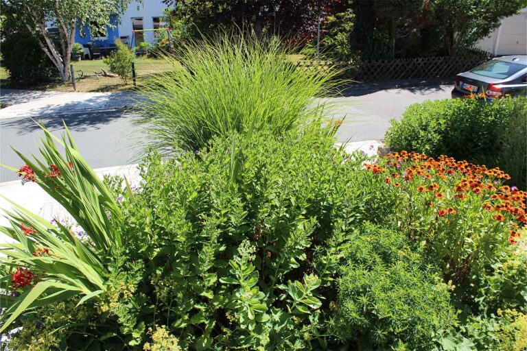 Gartenbau-Sommer-Gartengestaltung_mit_Stellplatz_E-Auto_10
