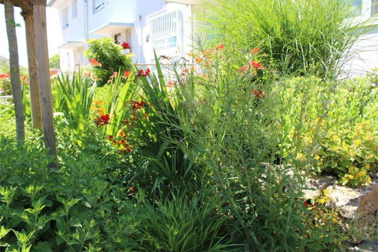 Gartenbau-Sommer-Gartengestaltung_mit_Stellplatz_E-Auto_19